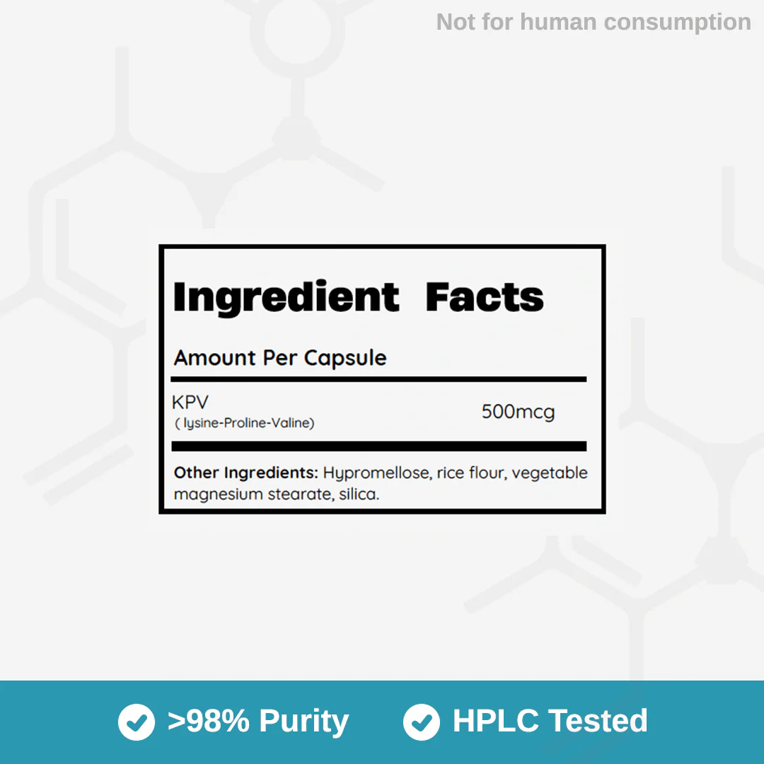 KPV 500mcg - Image 2
